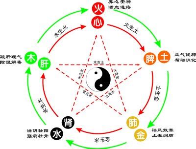 怡五行屬性|怡字的五行属什么